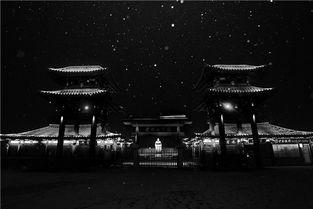 玉色蝴蝶,探寻东方美学的灵动韵味